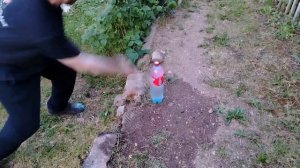 По АКЦИИ в пятёрке и заточенный из хозмага
