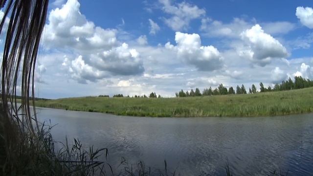 на рыбалку с детьми