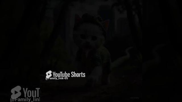 Кошка🐯🐻