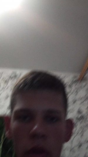 Песни