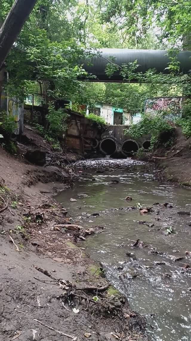 р. Ходынка! Почти центр. Москва 19.06.2025 (15:52). м.ЦСКА м.Аэропорт. м.Зорге. 3-я. Песчаная ул.
