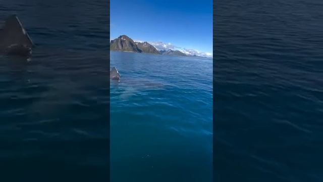 1000073752.mp4