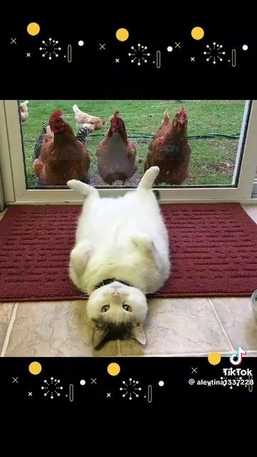 2025-07-06 смотреть онлайн