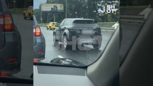 Девушка временно перекрыла МКАД для семьи уток