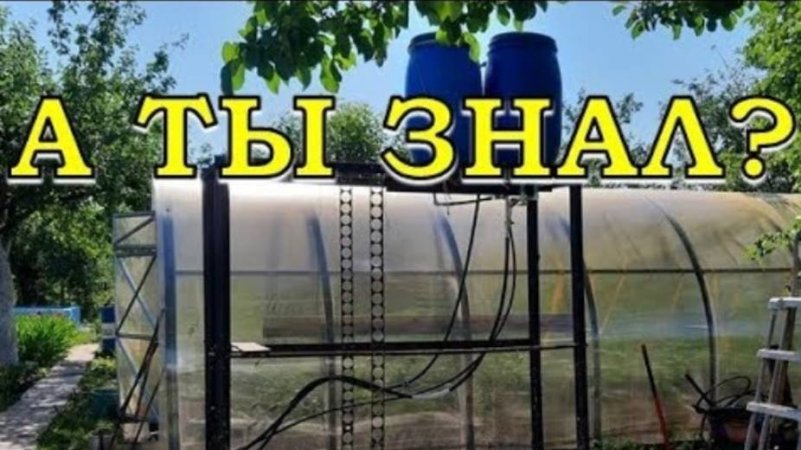 А ВЫ ЗНАЛИ? Лайфхаки для сада и огорода