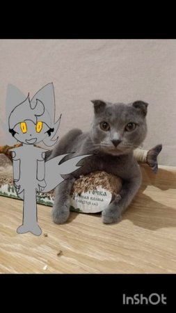 Шуша, извини что такая лëгкая анимка... :(
Читать описание ❤🔥