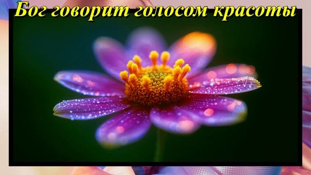 Бог говорит голосом красоты