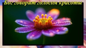 Бог говорит голосом красоты