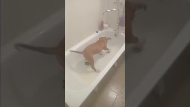 1000054034.mp4