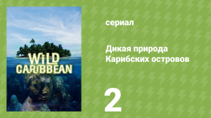 Дикая природа Карибских островов 2 серия «Киты и вулканы» (документальный сериал, 2018)