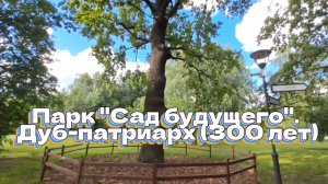 Сад будущего. Дуб-патриарх (часть 1)