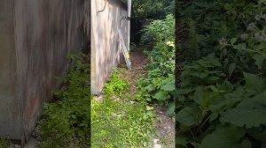 06.07.25 Планы