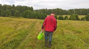 Семейка поездка в Челябинский зоопарк и деревню в Челябинской области.