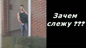 За какими активами слежу