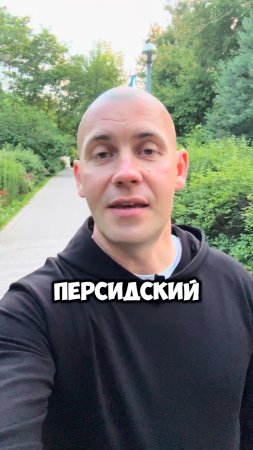 Персидский #кругликвадим #вадимкруглик #зож #совет #москва #смыслжизни