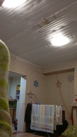 100000208ьтим