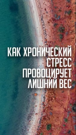 Как хронический стресс провоцирует лишний вес