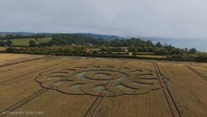 Круги на полях 56