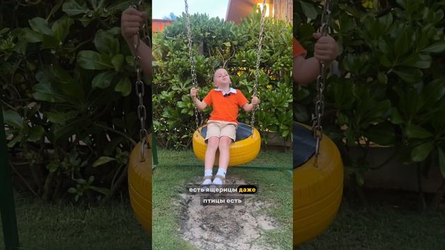 Устами ребенка….