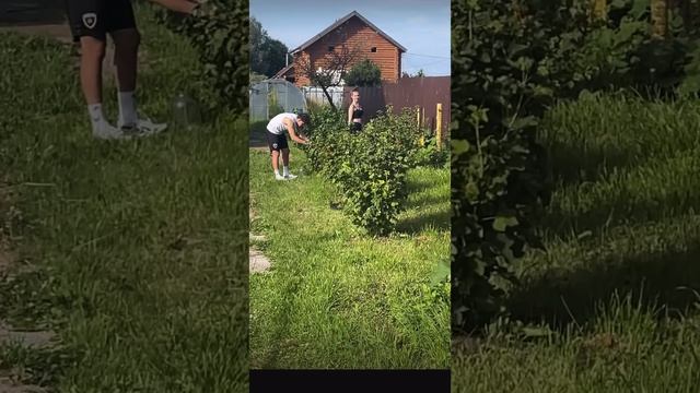 Я и котятки убежали из города!