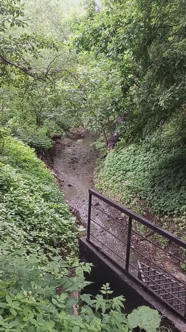 р. Ходынка! Почти центр. Москва 19.06.2025 (15:48). м.ЦСКА м.Аэропорт. м.Зорге. 3-я. Песчаная ул.
