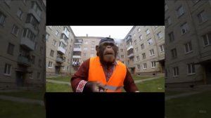 Зумеры в наше время