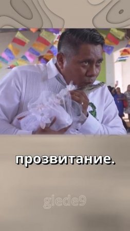 Мэр женился на аллигаторе в Мексике! | tg: @ glede9 #мексика #аллигатор #мэр