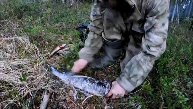 Рыбалка на озере   Карелия