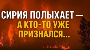Мощные Пожары Охватили Сирию — А В Сети Уже Признания: Кто Поджёг?