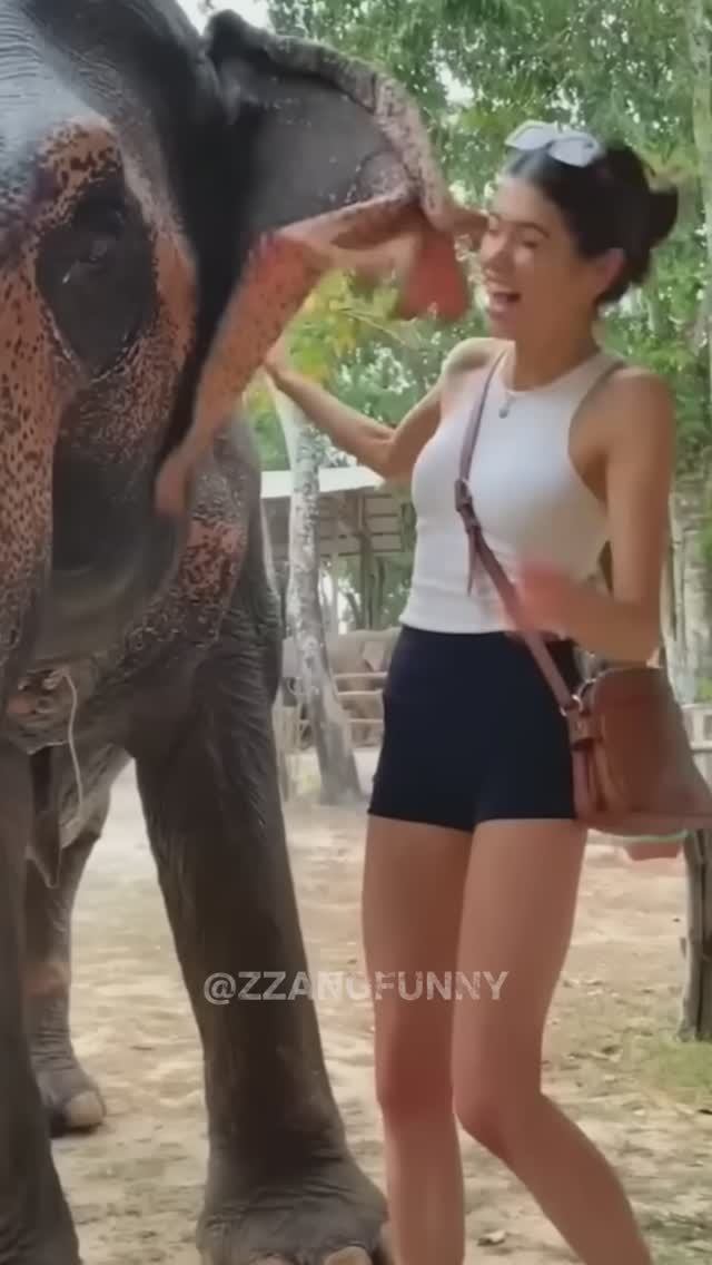Epic fails #shorts #funny #fails