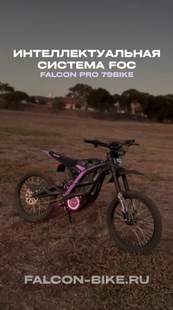 ВСЁ ОБ ИНТЕЛЛЕКТУАЛЬНОЙ СИСТЕМЕ FOC FALCON PRO 79 BIKE
