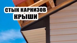 Стык карнизов крыши готов. Обнаружила малинник и ромашковое поле