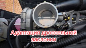 Адаптация дроссельной заслонки. Нива Тревел 2024. Евро 5.