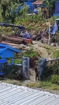 А где-то ещё воюют по старинке. (Папуа Новая Гвинея)