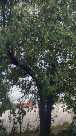 Счастье