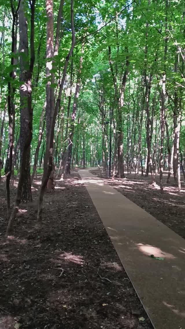 Всехсвятская роща, Москва. 05.07.2025 (17:33). Улица Академика Курчатова. (м. Щукинская).