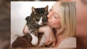 почему ваша кошка считает вас странным