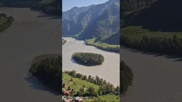 Катунь — молочная река Алтая: завораживающие виды и природное чудо 🌊🤍