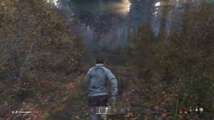 First time playing DayZ