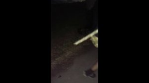В городе Новотроицк малолетние изверги ради лайков и подписчиков избили двух бездомных бедолаг !!!