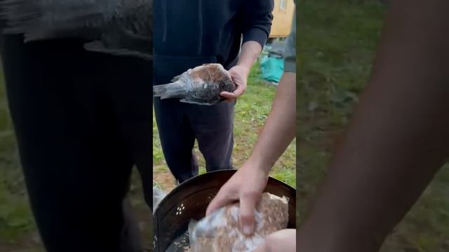 "Угли от шефа'