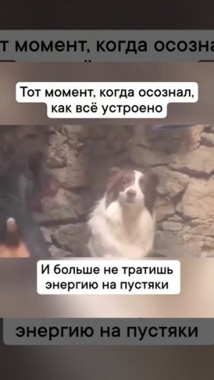 Счастье