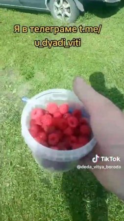 Дети кормят дядю Витю малиной, витаминами. #дядявитя #малина #дети #радость