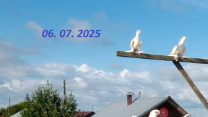 06. 07. 2025 Летаем
