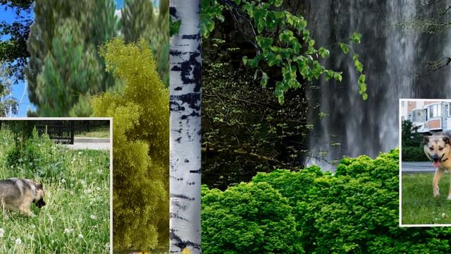 прогулка с плюшавым новый клип