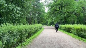 Один день в сказке. Волшебная прогулка по летнему Петергофу.