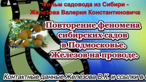 Повторение феномена сибирских садов в Подмосковье. Железов на проводе.