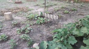 Жизнь станичная. Жизнь на пенсии.