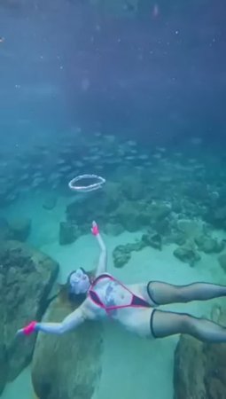 Cronch  ariaomo underwater bubblering