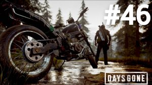 Days Gone прохождение #46
